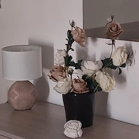 Kryss Pula